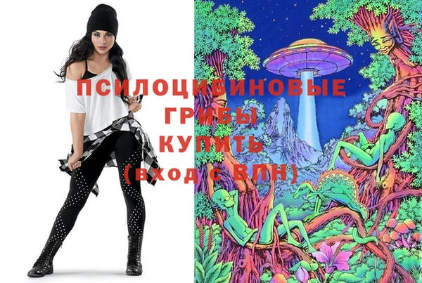 хмурый Инта