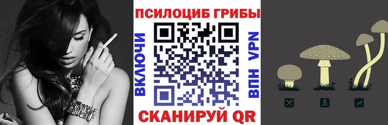 наркошоп  Белогорск  MEGA вход  Псилоцибиновые грибы Psilocybe 